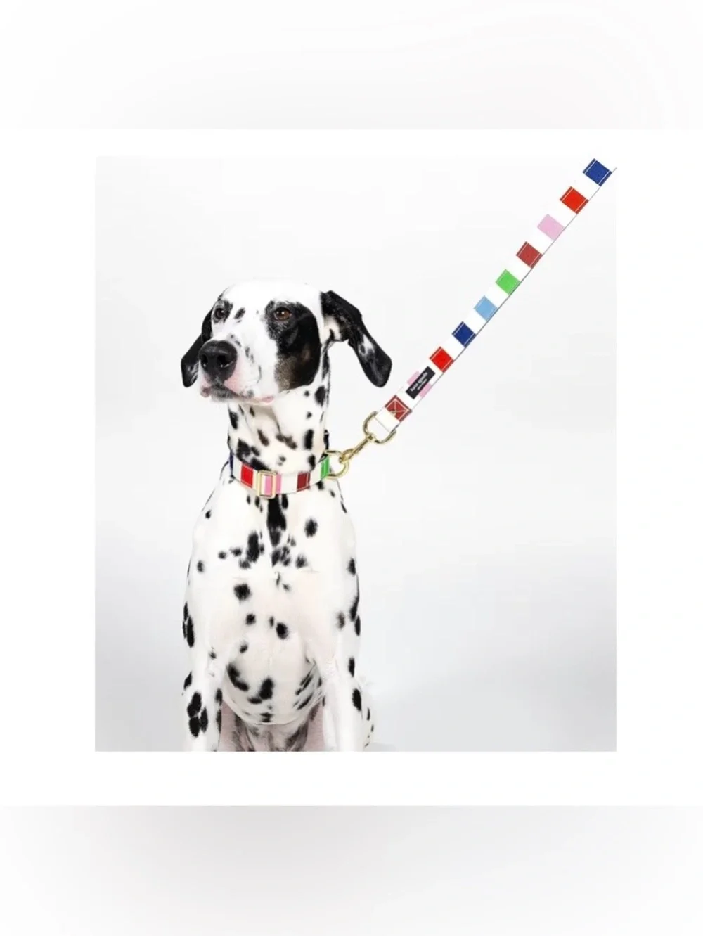 Kate Spade New York Heavy Duty Leash for Female or Male Dogs
